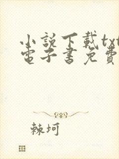 小说下载txt电子书免费下载封面