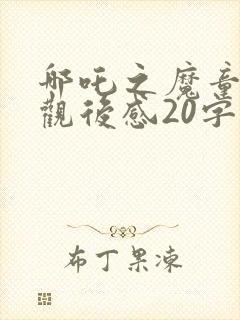 哪吒之魔童降世观后感20字