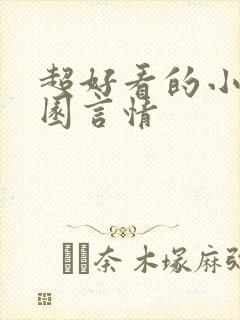 超好看的小说校园言情