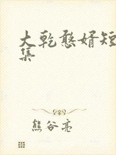 大乾憨婿短剧全集
