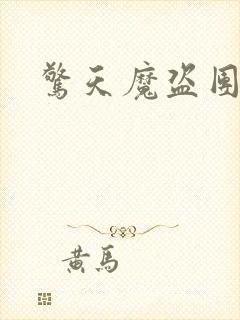 惊天魔盗团2封面