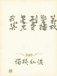 我是刑警第22集免费播放