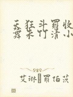 天狂斗罗收服小舞朱竹清小说