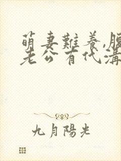 萌妻难养,腹黑老公有代沟