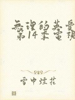 无理的英爱小姐 第14季电视剧