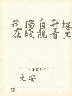 我独自升级动画在线观看免费