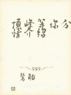 顶峰等你分集剧情介绍封面