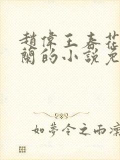 赵伟王春花吴素兰的小说免费阅读