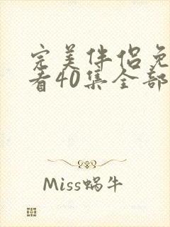 完美伴侣免费观看40集全部