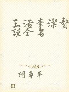 王浩李洁赘婿小说全名