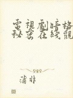 电视剧暗格里的秘密在线观看免费