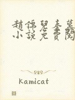 赵锦儿秦慕修的小说免费阅读全文