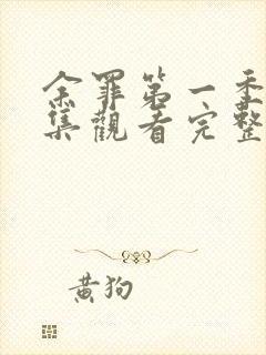 余罪第一季24集观看完整版免费