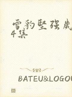 雪豹坚强岁月24集