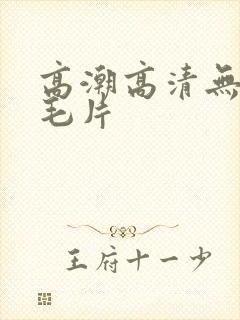 高潮高清无遮挡毛片