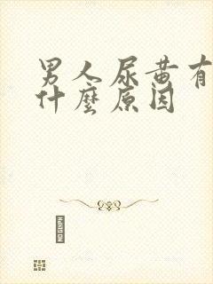 男人尿黄有沫是什么原因