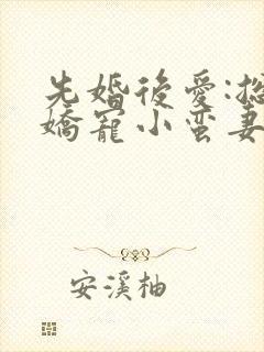 先婚后爱:总裁娇宠小蛮妻