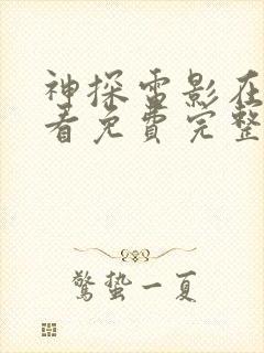 神探电影在线观看免费完整版封面