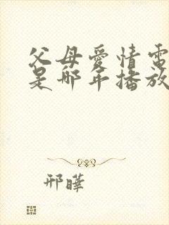 父母爱情电视剧是哪年播放的