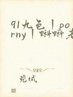 91九色丨porny丨蝌蚪老版