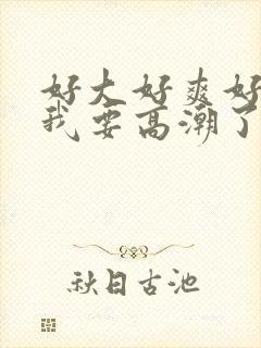 好大好爽好舒服我要高潮了