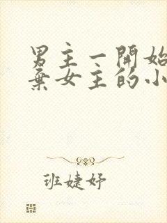 男主一开始很嫌弃女主的小说