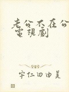 老公不在公迫我 电视剧