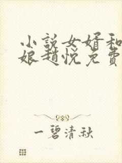 小说女婿和丈母娘赵悦免费阅读