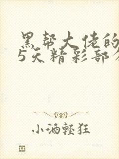 黑帮大佬的365天精彩部分