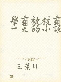 学霸被校霸罚了一天的小说