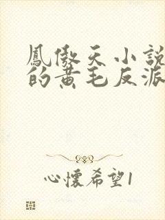 凤傲天小说里面的黄毛反派也想幸福