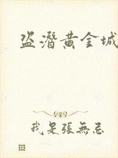 盗潜黄金城封面