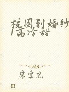 校园到婚纱1V1高冷甜