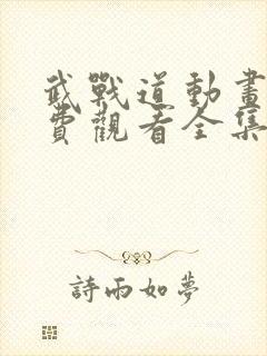 武战道动画片免费观看全集封面