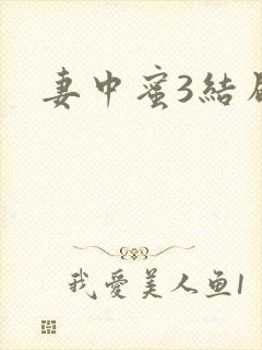 妻中蜜3结局