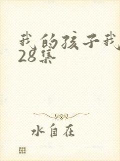 我的孩子我的家28集