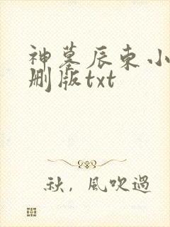 神墓辰东小说未删版txt