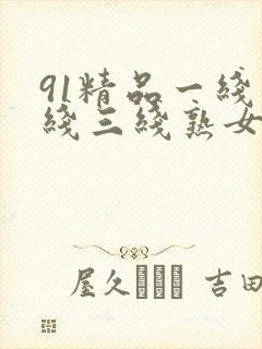 91精品一线二线三线熟女