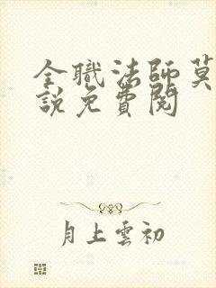 全职法师莫凡小说免费阅