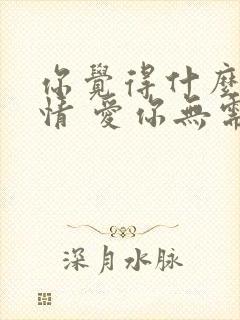 你觉得什么是爱情 爱你无需多言封面