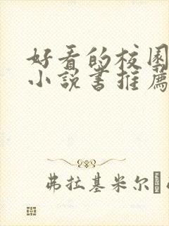 好看的校园恋爱小说书推荐封面