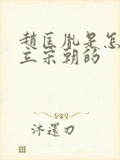 赵匡胤是怎么建立宋朝的封面