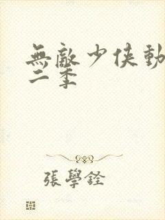 无敌少侠动漫第二季封面