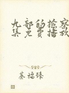九部的检察官全集免费播放在线观看