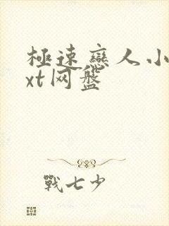 极速恋人小说txt网盘