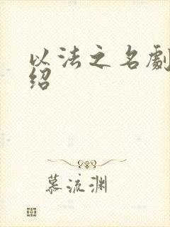 以法之名剧情介绍封面