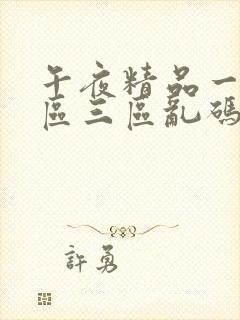 午夜精品一区二区三区乱码封面