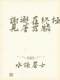 谢邂在终极斗罗见唐舞麟