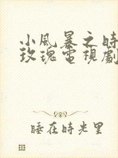 小风暴之时间的玫瑰电视剧全集免费观看