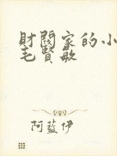 财阀家的小儿子毛贤敏